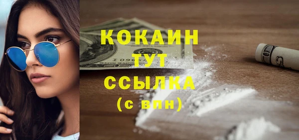 spice Алзамай