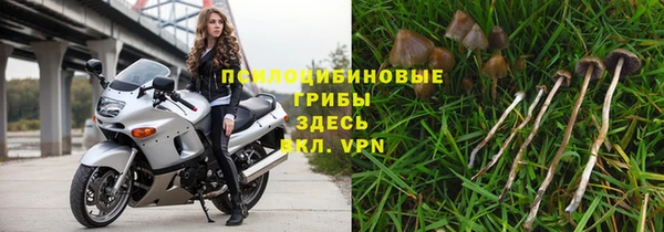 молекула духа Алексеевка