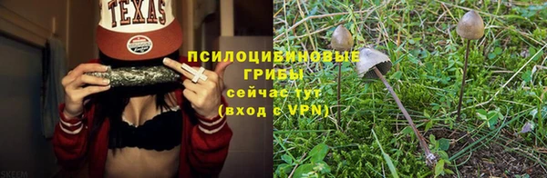 молекула духа Алексеевка