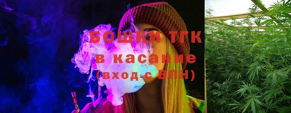 молекула духа Алексеевка