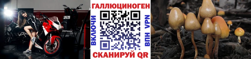 даркнет сайт  Алупка  Галлюциногенные грибы Magic Shrooms 